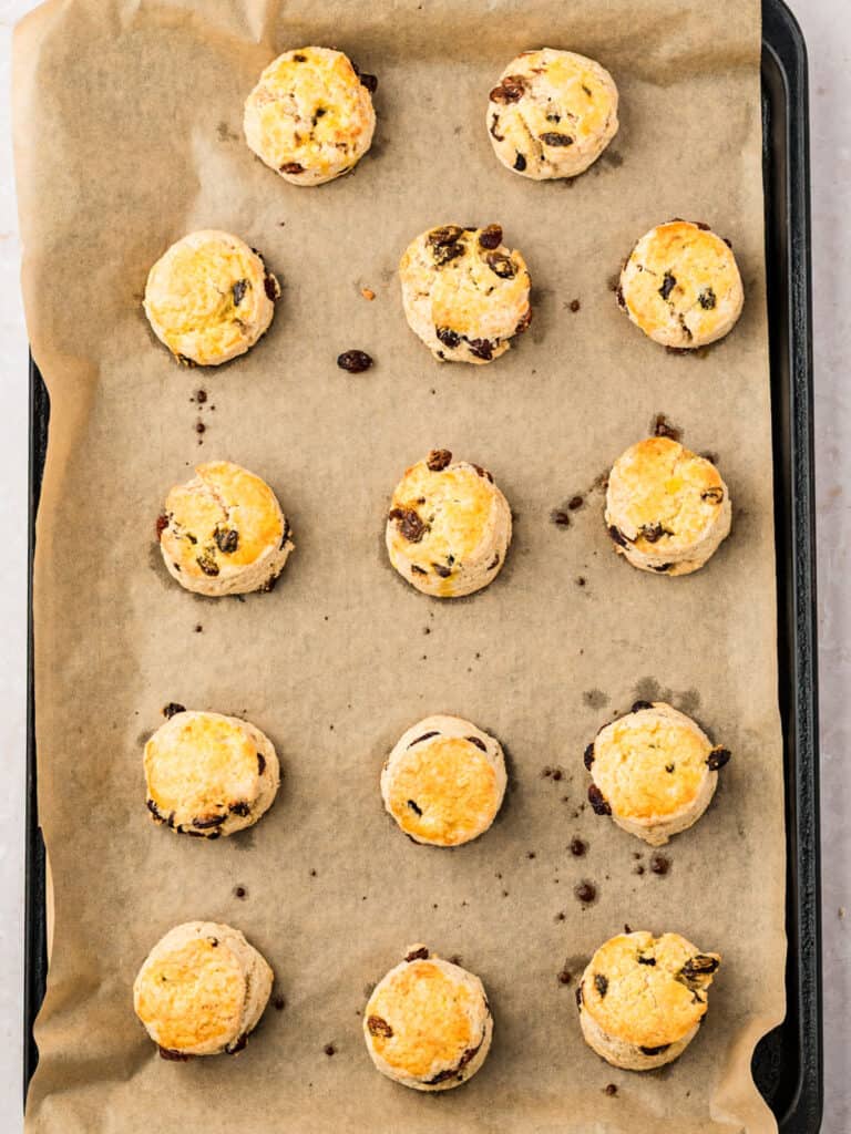 Baked raisin scones on beige parchment paper.