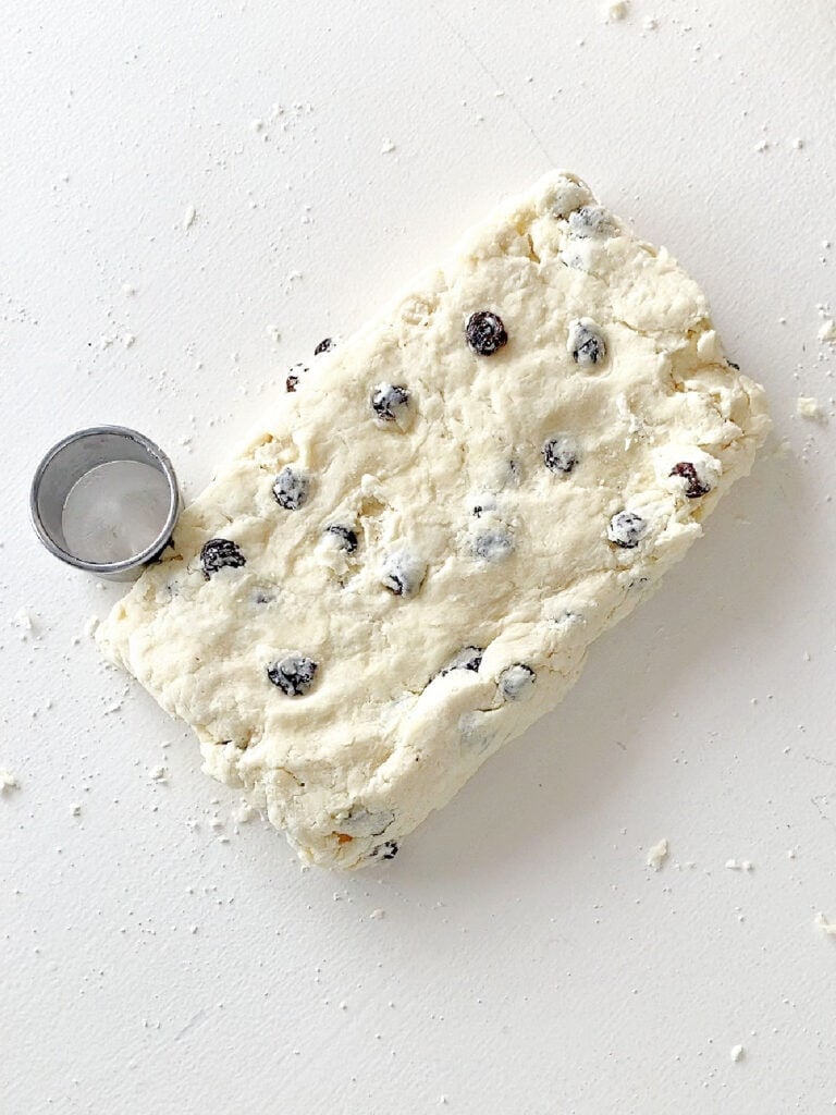 Rectangular piece of raisin scone dough with metal round cutter. White surface.