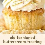 Teal and brown text overlay on close up frosted vanilla cupcake.