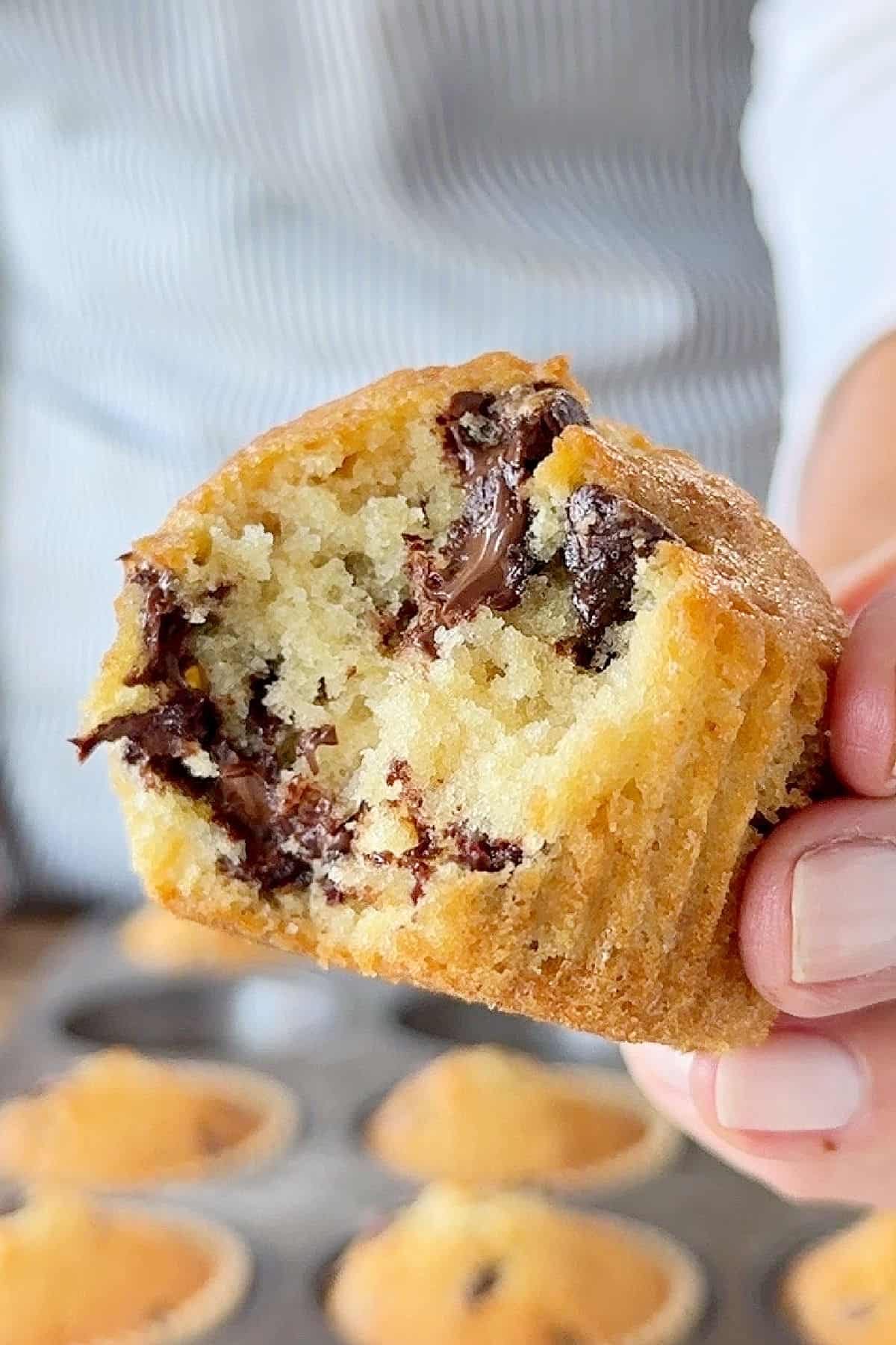 Hand holding half a chocolate chip muffin above pan wearing a striped blue apron background.