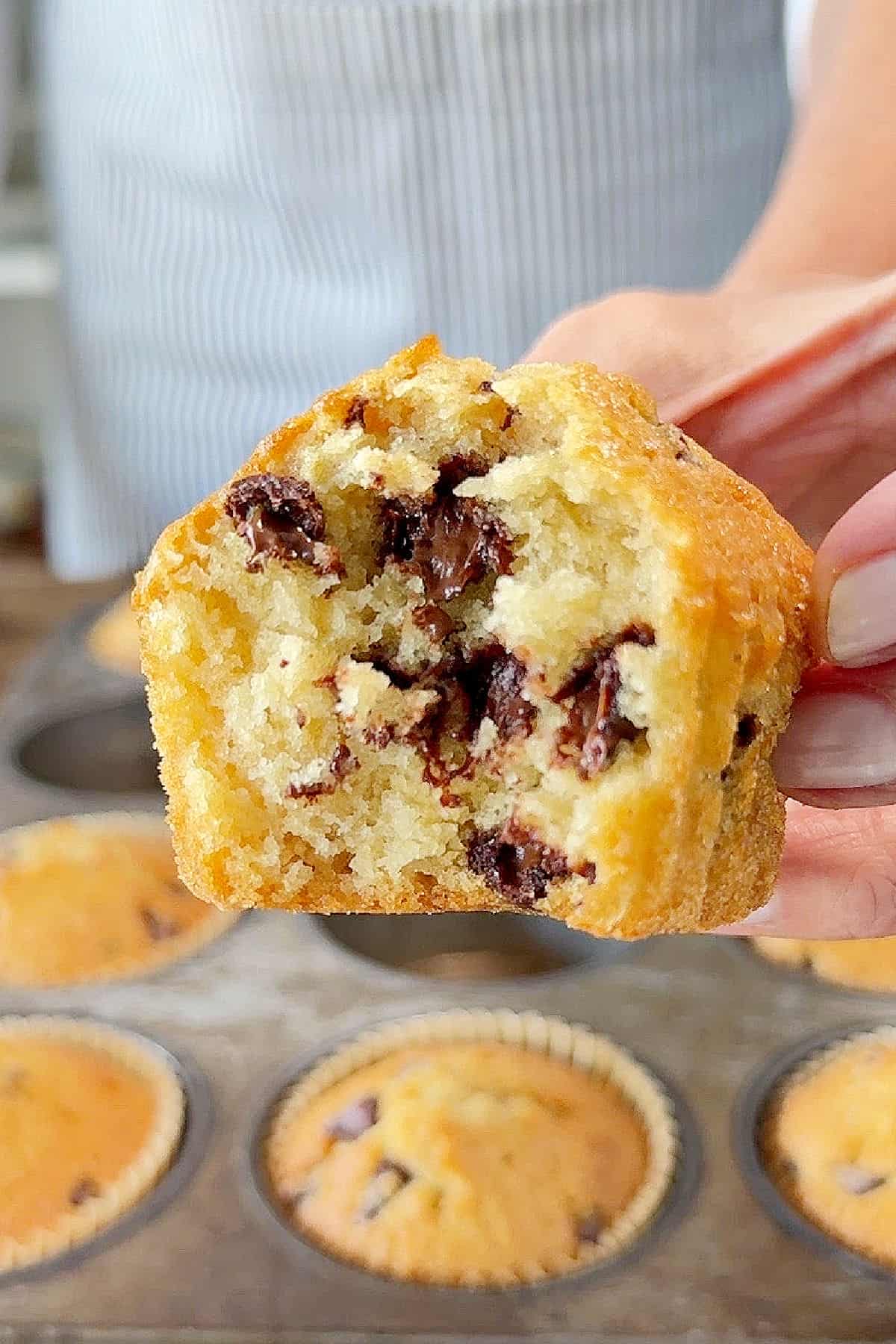 Bitten chocolate chip muffin held over muffin tin. Striped blue apron background.