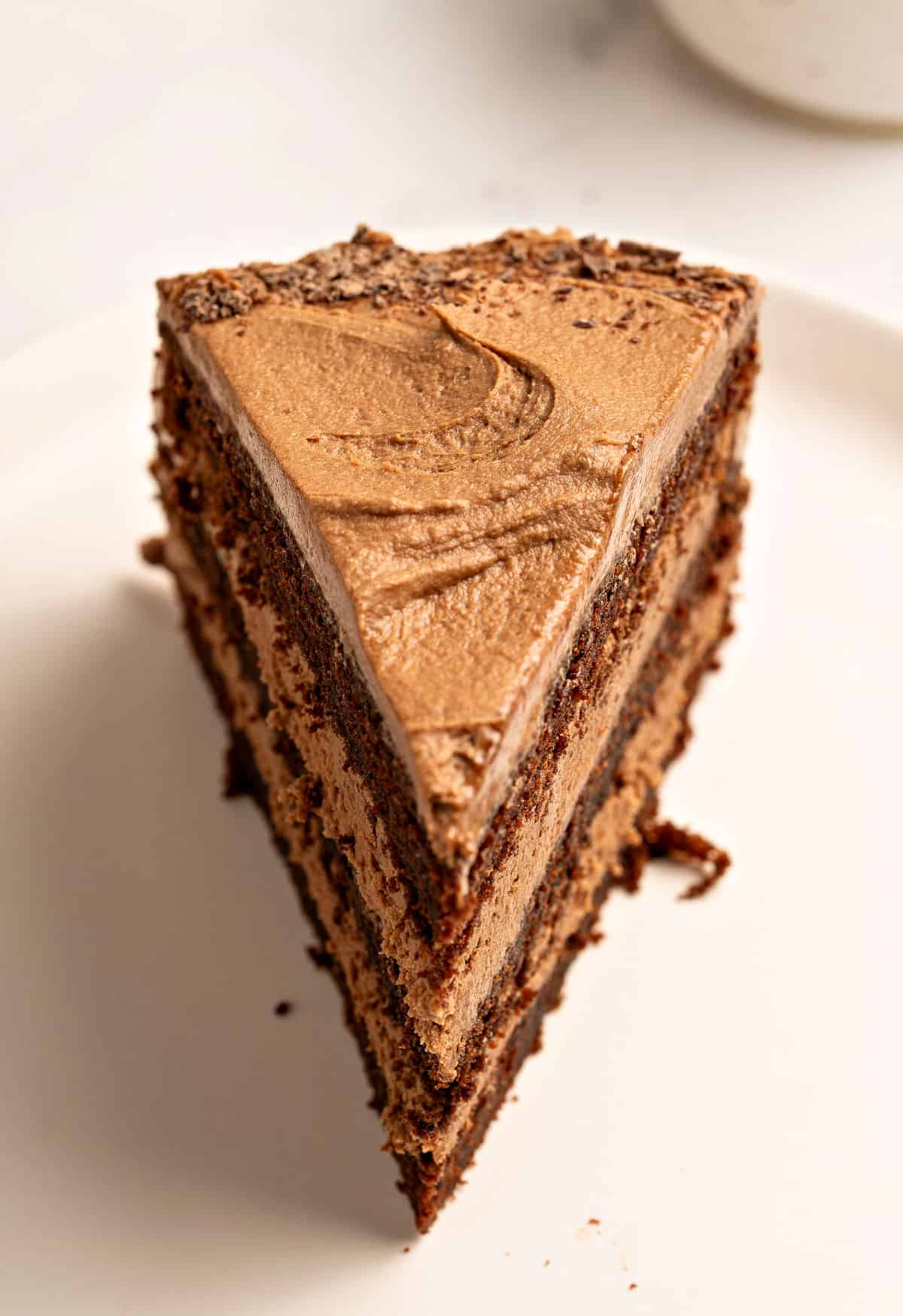 Slice of chocolate filled and frosted cake. White plate.