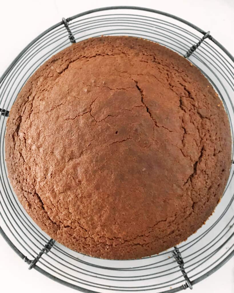 Wire rack with chocolate cake round. White background, top view.