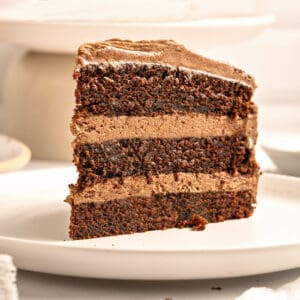 Close up slice of chocolate filled and frosted chocolate cake. White plate.
