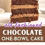 Purple brown text overlay on slice and partial whole images of chocolate layer cake.